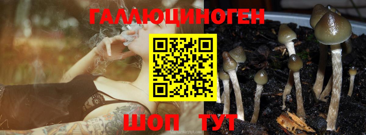 Псилоцибиновые грибы ЛСД  Вход с VPN  Кудымкар  Псилоцибиновые грибы мухоморы 